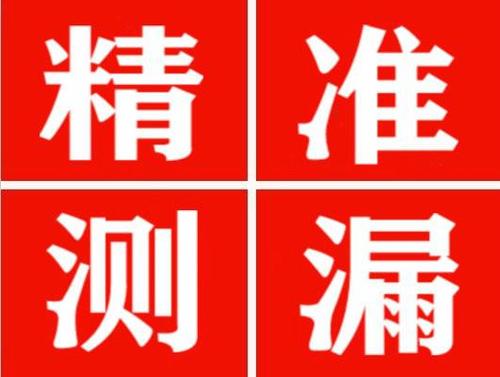 广平尚嘉漏水精准查找