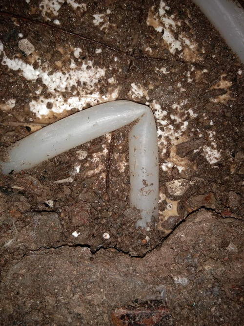 广平堵点精准查找